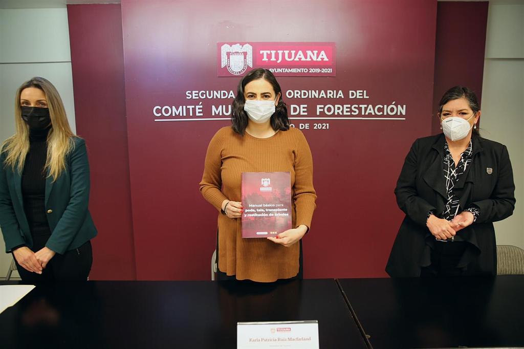 Alcaldesa, pago, agenda, actividades