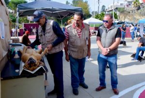 ESTERILIZACIÓN