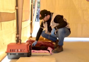 ESTERILIZACIÓN