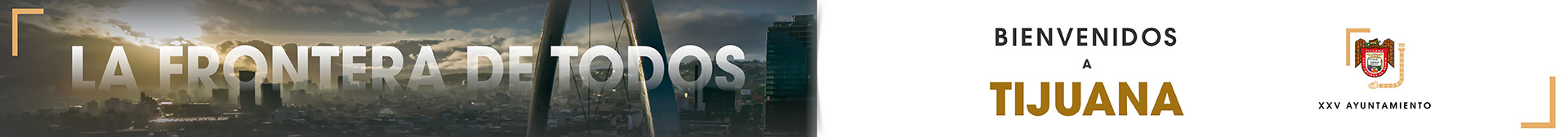 spot_img
